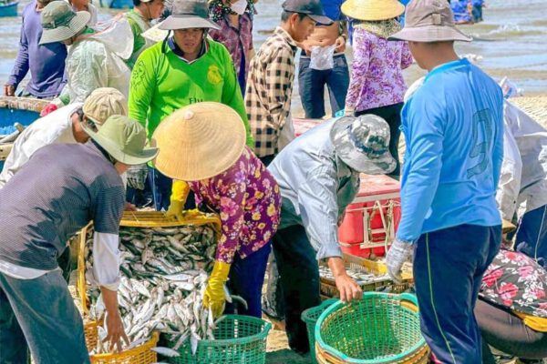 Thông báoMở tour đạp xe về Phước Hải ngày 2/8/2025–3/8/2025